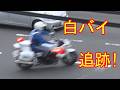 信号無視して左折するベンツに白バイ緊急走行で追跡する瞬間