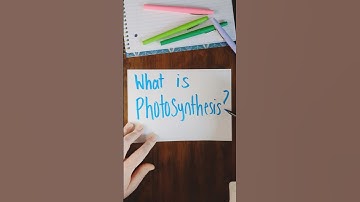 Photosynthesis EXPLAINED in 30 seconds! What is photosynthesis? 🌿 science for kids