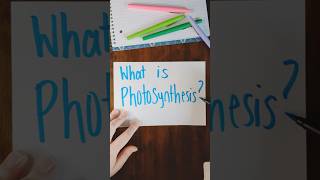 Photosynthesis Explained In 30 Seconds What Is Photosynthesis? Science For Kids