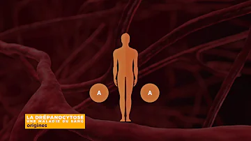 Qu'est-ce que la drépanocytose Heterozygote ?