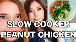 Slow Cooker Thai Peanut Chicken
