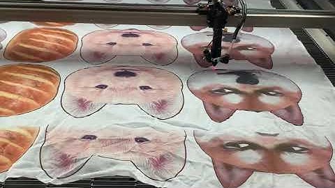 Fabric Laser Cutting Machine with Automatic Feeding System