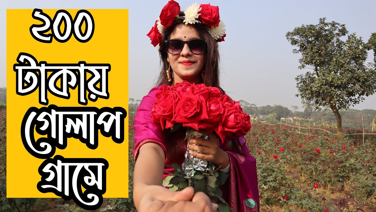 গোলাপ গ্রামের গল্প- কিভাবে যাবেন ? কি দেখবেন ? খরচ কত ?।। Golap Gram ।| Biruliya Savar।।