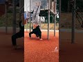 Strength days be like #fitness #strongyogi #calisthenics