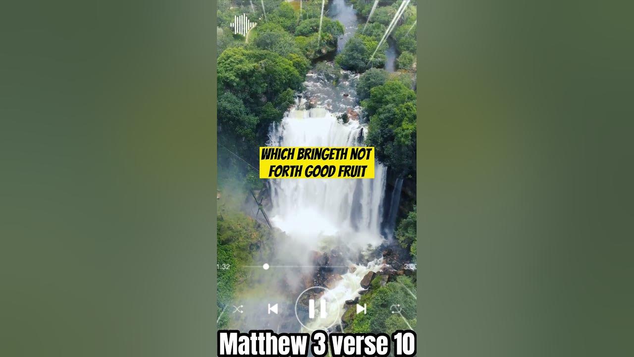 matthew-3-verse-10-youtube