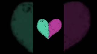 Valentine’s Animation