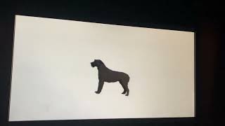 Dogs 101 pick the Pooch ￼