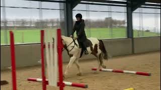 Ad ref 269820 Video 2