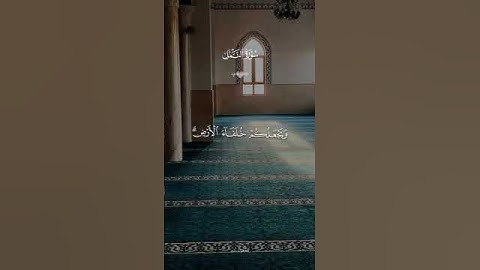 قران كريم ارح قلبك وسمعك#قران #قران_كريم #quran_alkarim #quran  #صلوا_على_رسول_الله #ياسر_الدوسري
