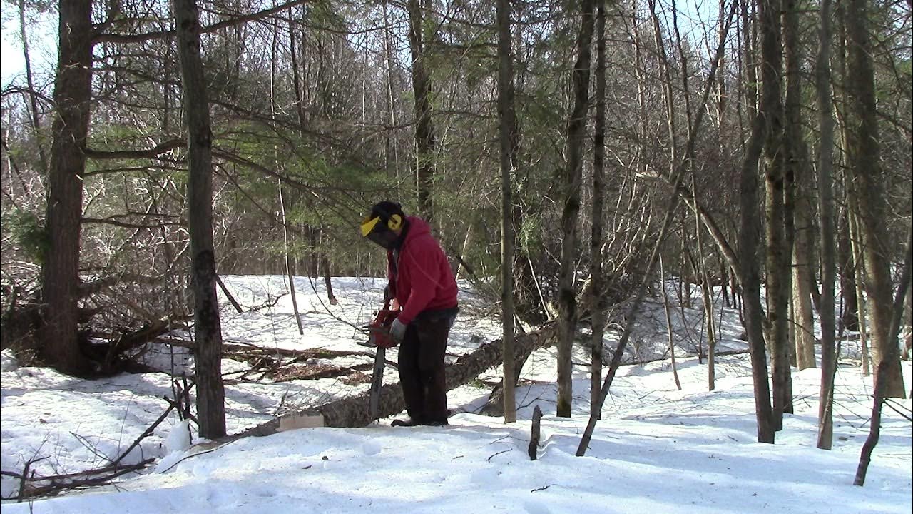 6 Jon Cutter chainsaw cutting down trees YouTube