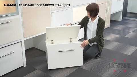 ADJUSTABLE SOFT-DOWN STAY  NSDX