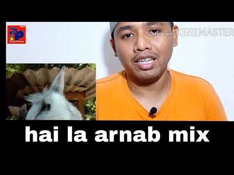 Video: Apakah maksud arnab?
