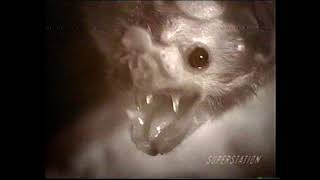 NAT GEO EXPLORER AND HAUNTED HISTORY TV BROADCASTS 90S