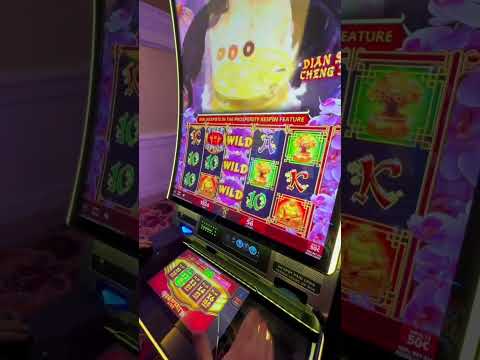 Day 11 Bonus or Bust! #slots #win #vegas