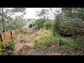 Terribly neglected overgrown australian native garden  complete renovation