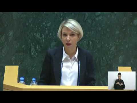 2019 წლის შეუსრულებელი რეკომენდაციები ხანდაზმულ პირთა უფლებებთან დაკავშირებით