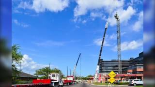 Crane Timelapse
