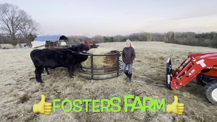 Hog Trapping Tip with a Simple Trap Trigger Design for your homemade Wild pig trap!