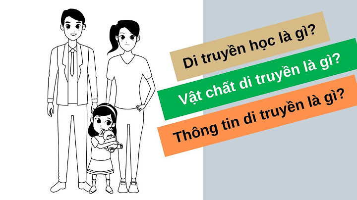 So sánh vật chất di truyền năm 2024