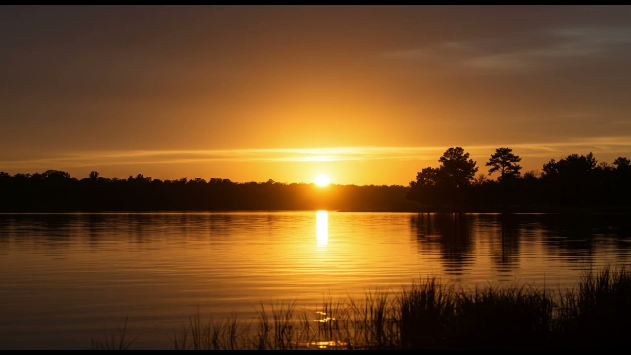 Sound Doctrine, Steadfast Heart | Christian Song About Faith and Truth