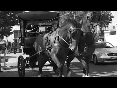 Maassluis in vroegere jaren   deel 3