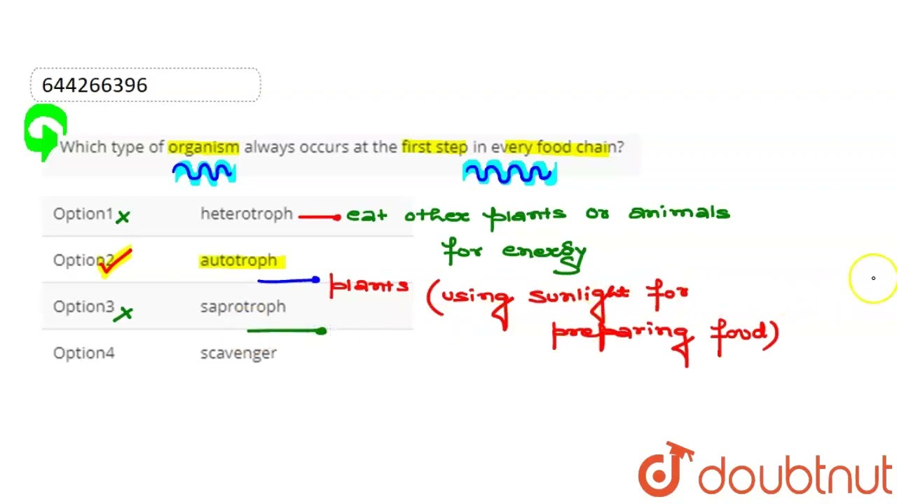 Which Type Of Organism Always Occurs At The First Step In Every Food Which Type Of Organism Always Occurs At The First Step In Every Food