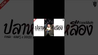 ปลาหมอสีเหลือง - Thai Remix ✨