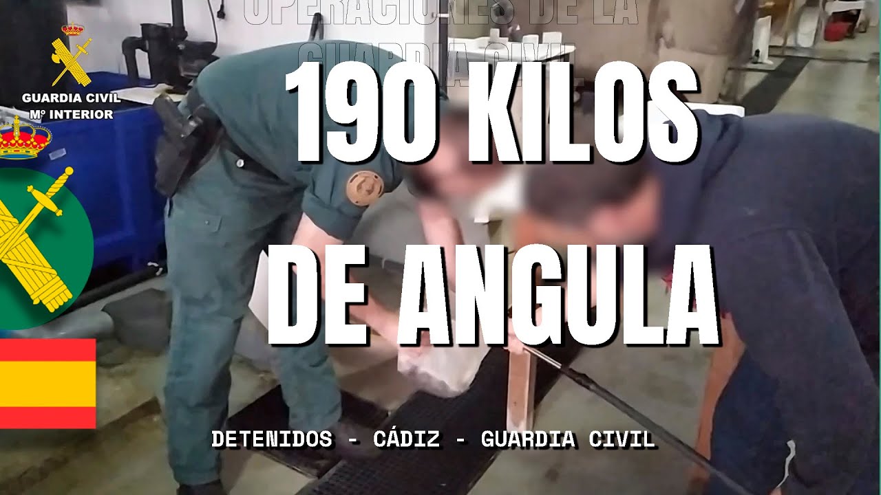 La Guardia Civil interviene más de 190 kilos de angula en el Puerto de Algeciras