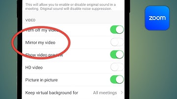 Mirror My Video On Zoom | Zoom Mirror My Video
