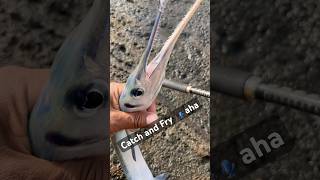 Catch and fry 🎣 @majorcrafttube #hawaii#fishing#fishingshorts#aha#nenue#hanapaa#catchandcook