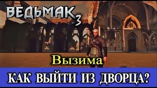 Ведьмак 3. Секреты Вызимы. Как попасть за пределы дворца. Тайник.