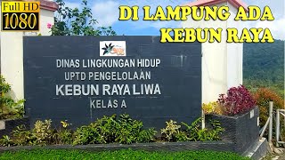 JALAN KE KEBUN RAYA LIWA LAMPUNG BARAT. SUHU UDARA PALING DINGIN DI PROV. LAMPUNG