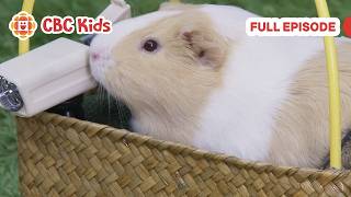 mittens pants catch that balloon cbc kids