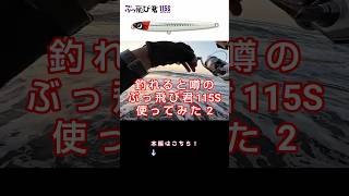 釣れると噂のぶっ飛び君115S使ってみた！2 #サーフ #フラット #ヒラメ