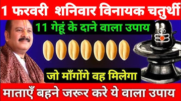 1 फरवरी माघमास शनिवार विनायक चतुर्थी को 11 गेहूं के दाने वाला उपाय जरूर करे || Pradeep Ji Mishra