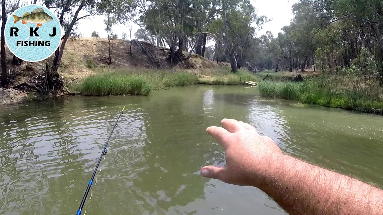 How many fish can I lose before catching one? - Float fishing frustrations