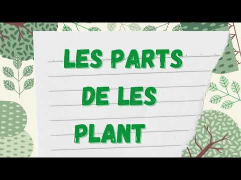 Vídeo: Per Què Apareixen Anualment Les Malalties Per Fongs De Les Plantes