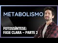 METABOLISMO: FOTOSSÍNTESE - FASE CLARA - PARTE 2