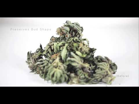 OGDryTrim - Best Bud Trimmer Medical Cannabis Industry