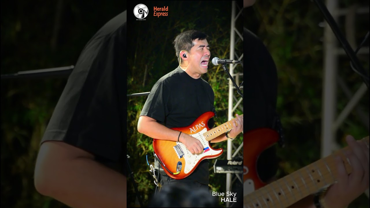 THE COZY COVE FEST | Blue Sky - HALE