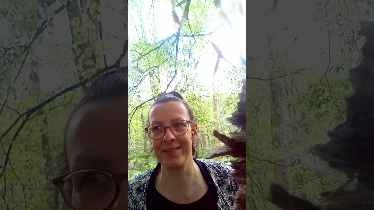 Freunde, haltet durch!