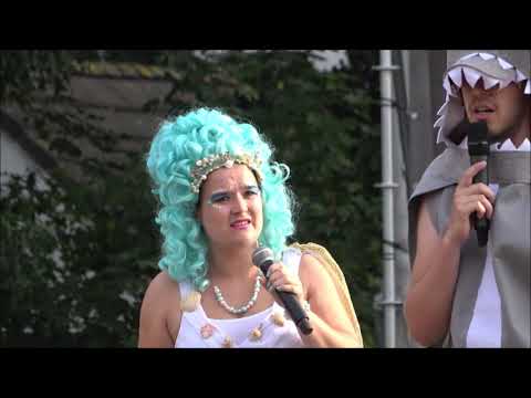 ZOMERSPELEN 2019 DONGEN  DE OPENING !