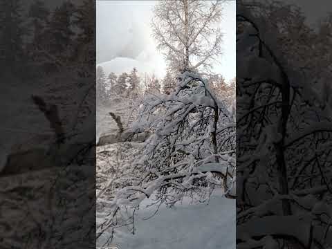 Красавица зима, колокольный звон. Звонарь Елена Грандова