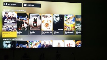 Workaround on Error Deleting Media from Plex Media Server
