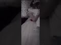 واعذابي عرسها يوم الخميس