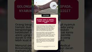WOW! TERNYATA ORANG DG GOL DARAH O LEBIH DISUKAI NYAMUK #trendingshorts  #faktaunik #viralvideo