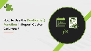 How to Use the DayName Function in Report Custom Columns ?
