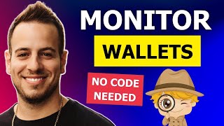 Etherscan Wallet Alerts Tutorial  No Code Needed! Monitor Any Crypto Wallet For New Transaction