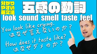 英語の”五感動詞”look sound smell taste feelのすべて（わかりやすい英文法）