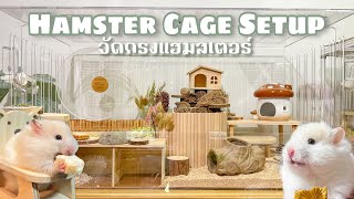 Hamster Cage Setup EP.03 | มาจัดกรงน้องแฮมสเตอร์กัน 🐹